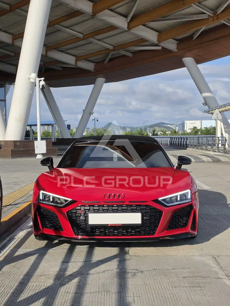 2017 Audi R8