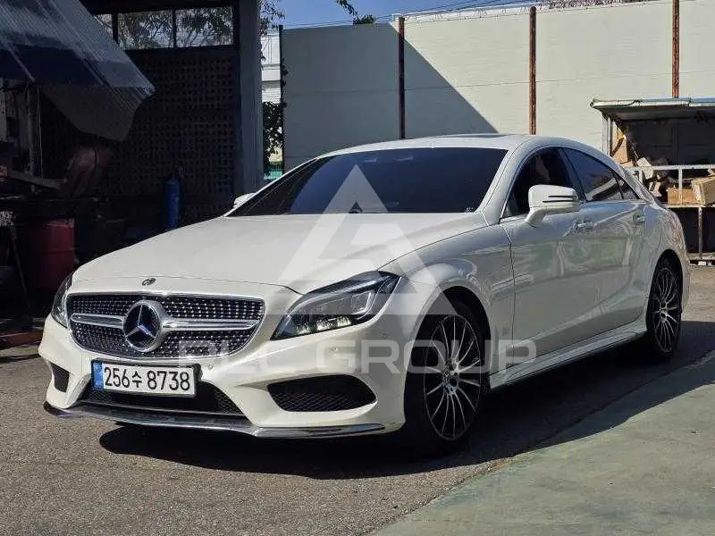 2017 Mercedes Benz CLS-Class