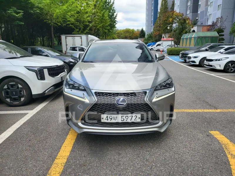 2017 Lexus NX