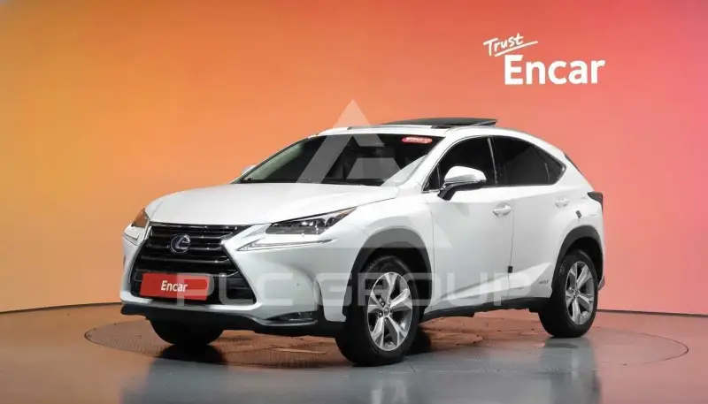 2017 Lexus NX
