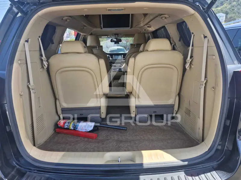 2017 KIA Carnival