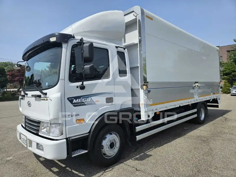 2017 Hyundai Mega truck