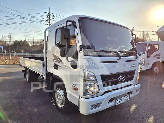 2017 Hyundai Mighty
