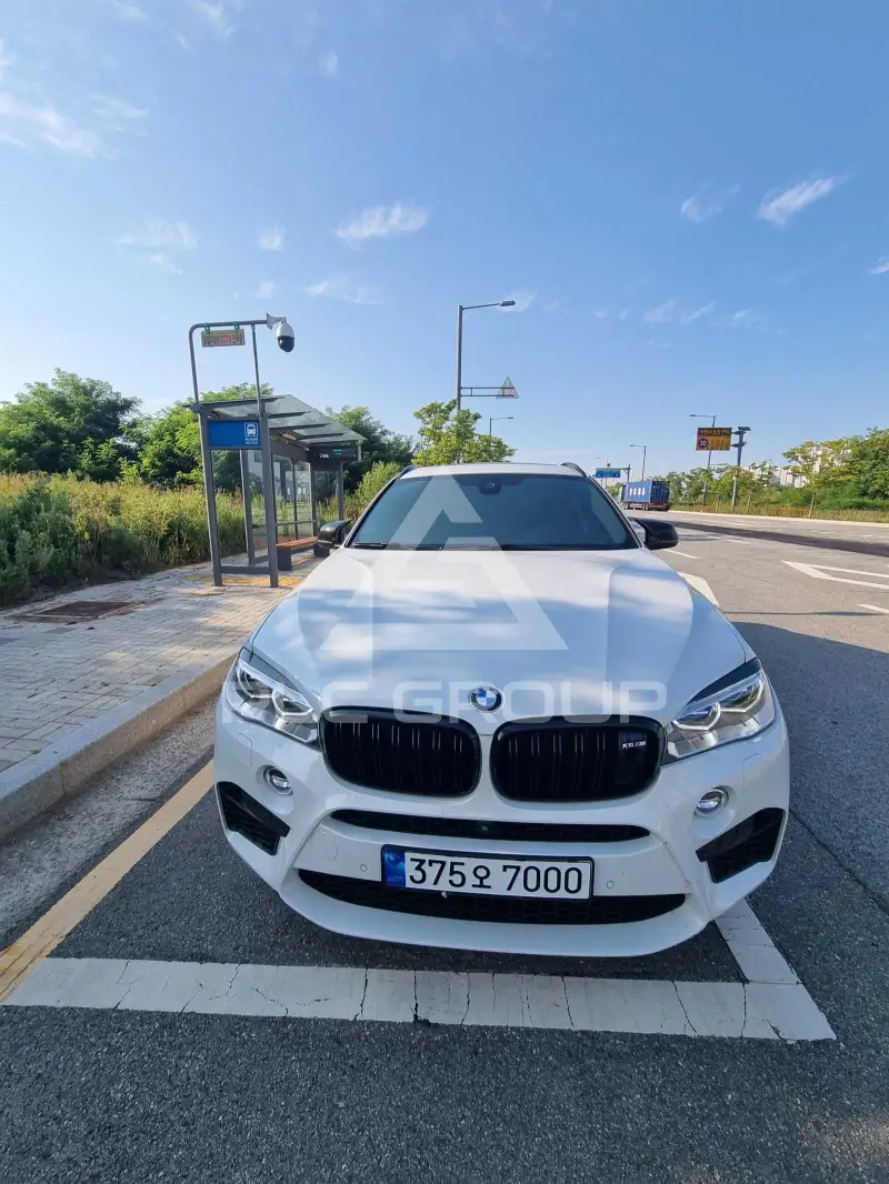 2018 BMW X6