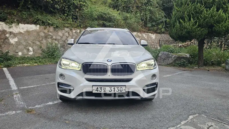 2018 BMW X6