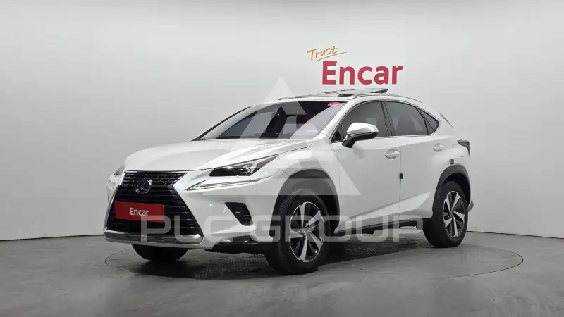 2018 Lexus NX