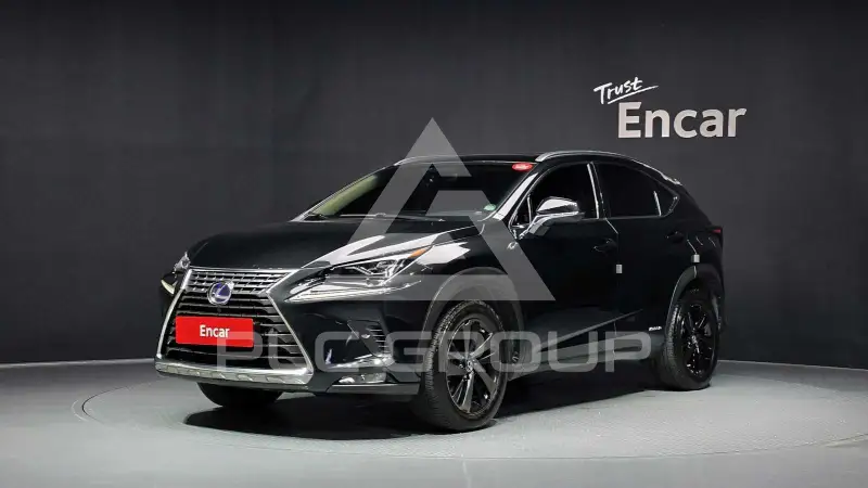 2018 Lexus NX