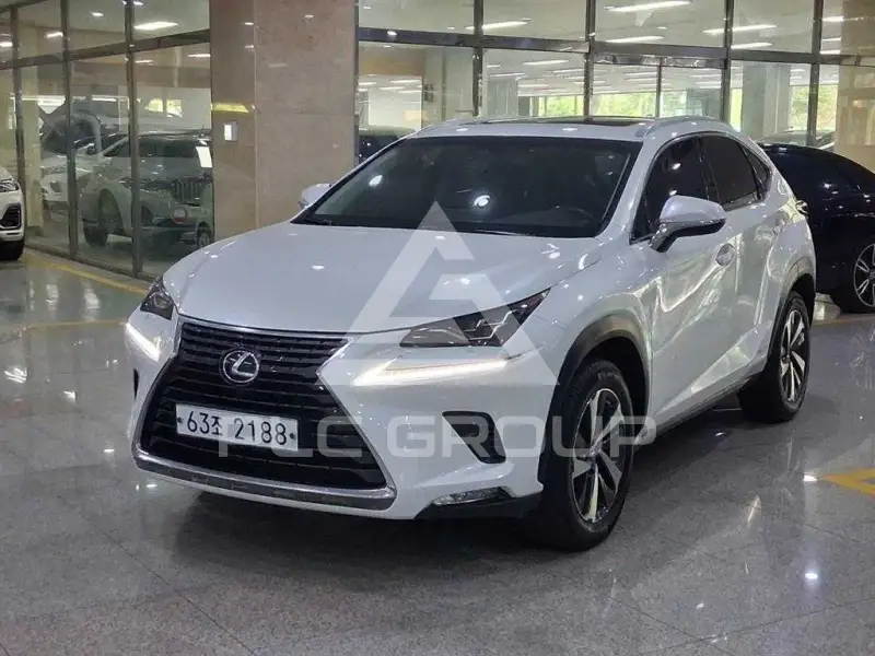 2018 Lexus NX