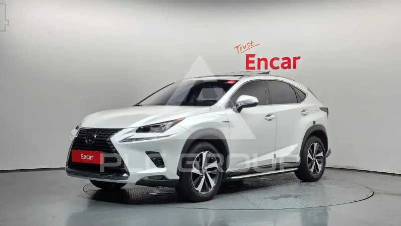 2018 Lexus NX