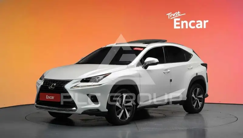 2018 Lexus NX