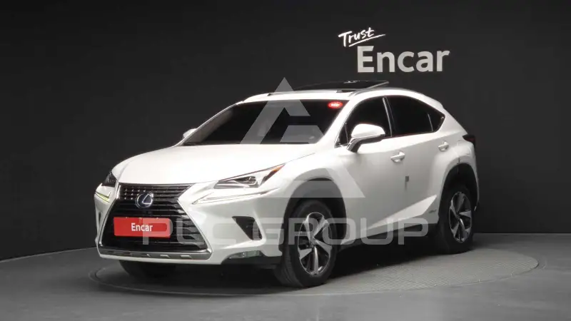 2018 Lexus NX