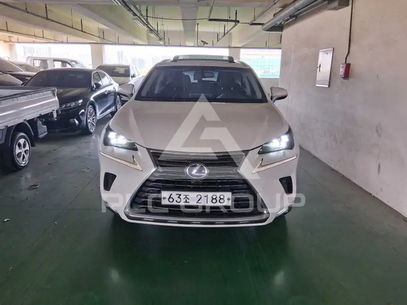 2018 Lexus NX