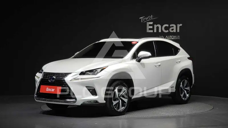 2018 Lexus NX