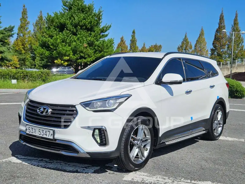 2018 Hyundai Maxcruz