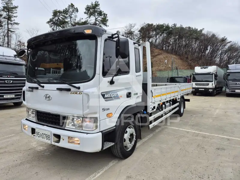 2018 Hyundai Mega truck