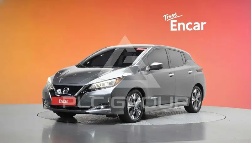 2019 Nissan LEAF