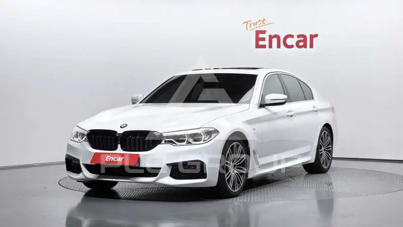 2019 BMW 530M