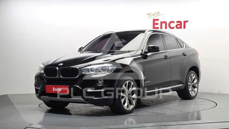 2019 BMW X6