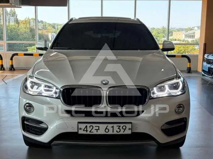 2019 BMW X6