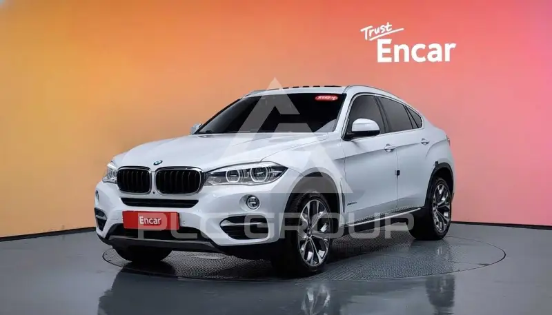 2019 BMW X6