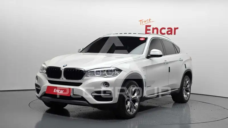 2019 BMW X6