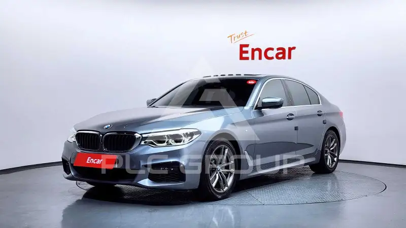 2019 BMW 520