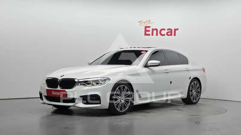 2019 BMW 530M