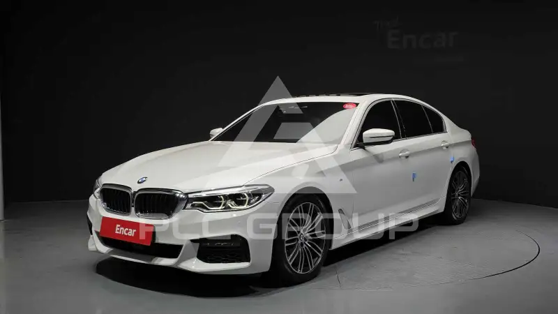 2019 BMW 530M