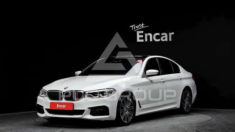 2019 BMW 530M