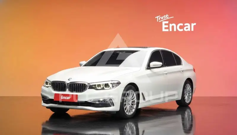 2019 BMW 520