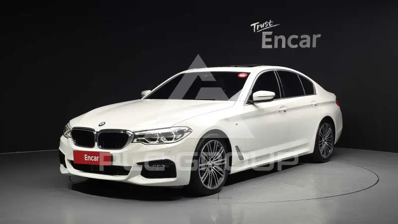 2019 BMW 530M