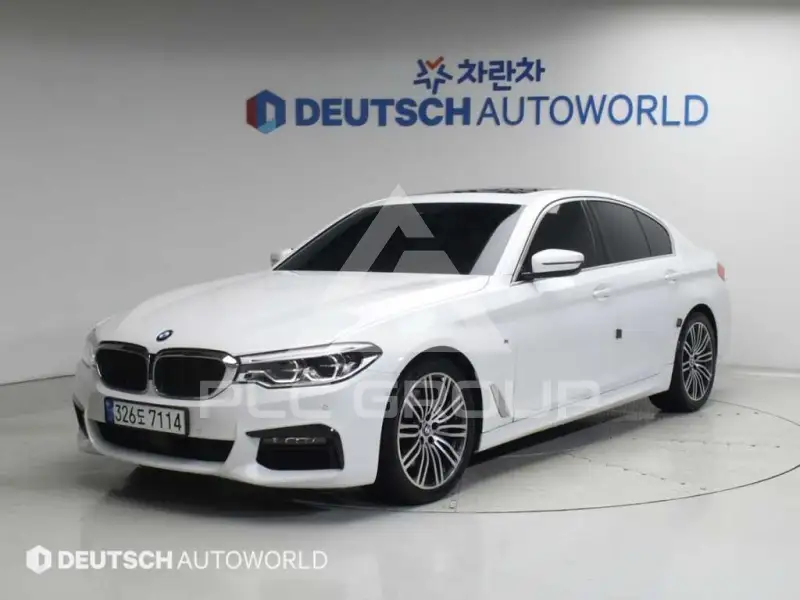 2019 BMW 530M