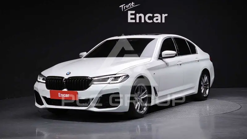 2019 BMW 520