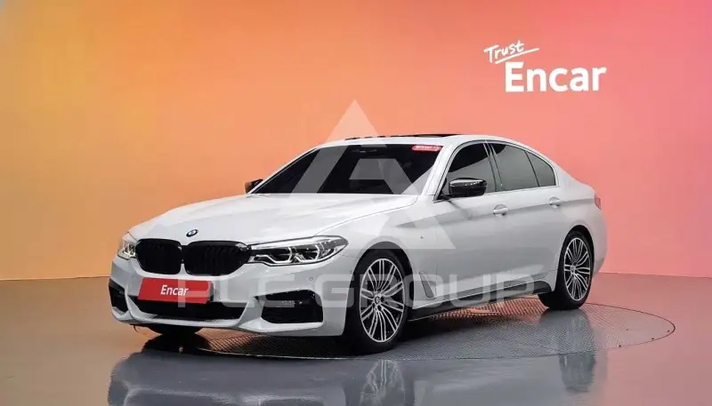 2019 BMW 530M