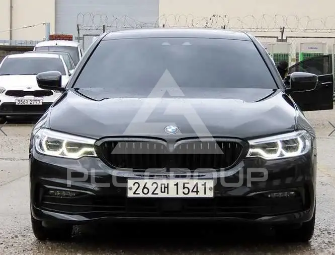 2019 BMW 520