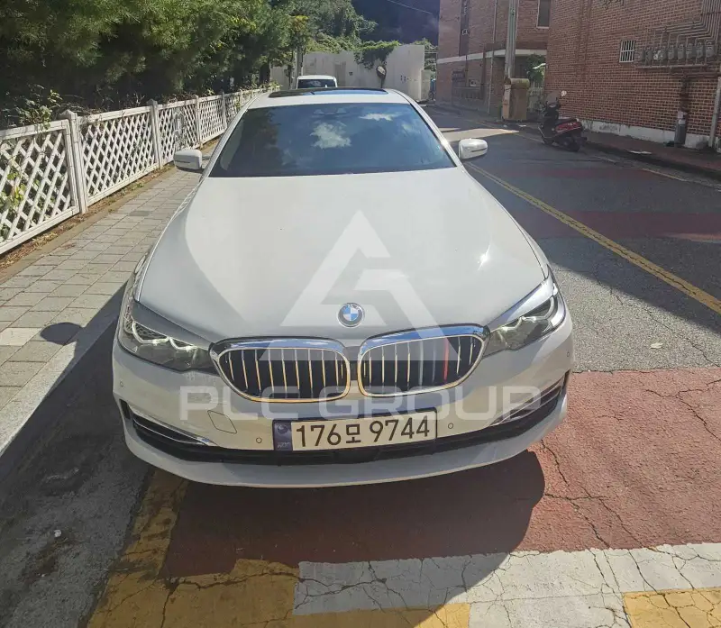 2019 BMW 520