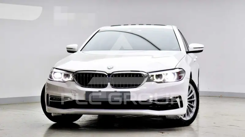 2019 BMW 520