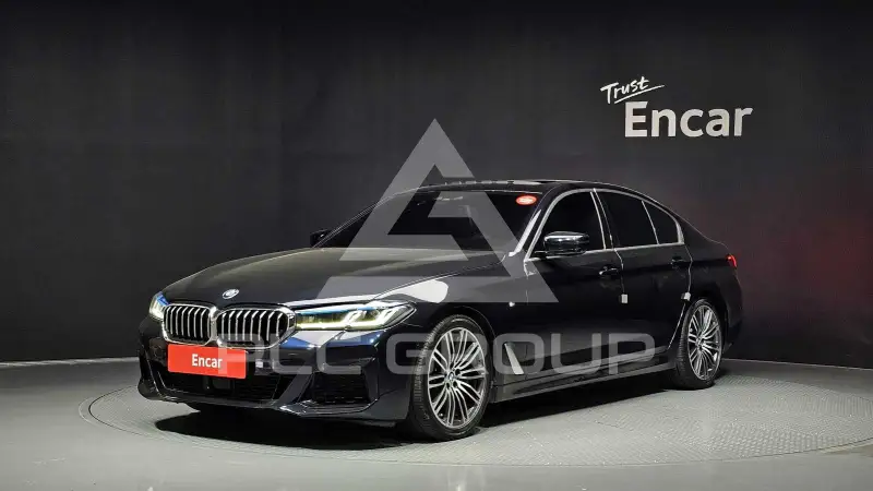 2019 BMW 530M