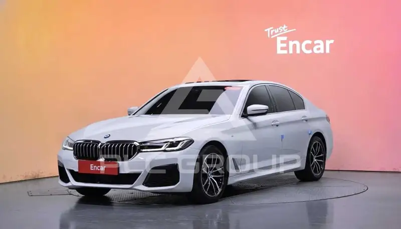 2019 BMW 520