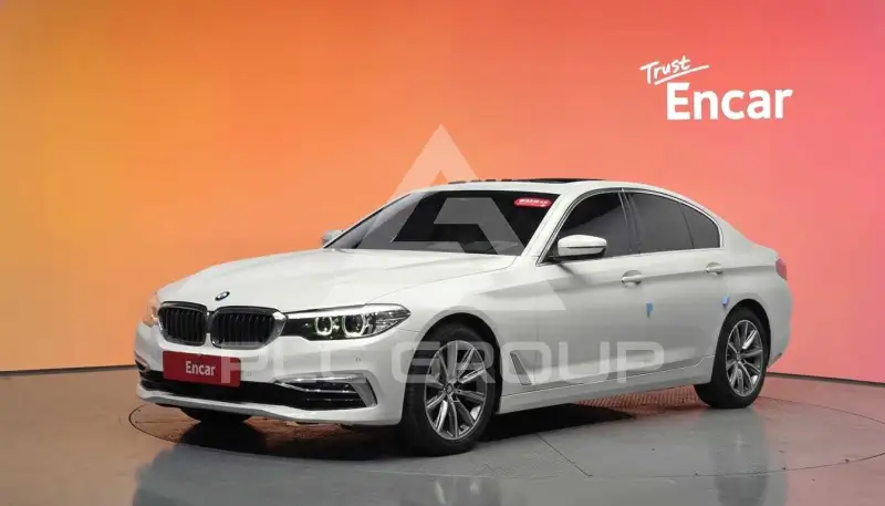 2019 BMW 520