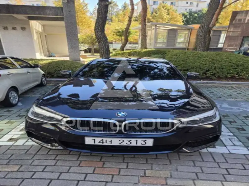 2019 BMW 530M