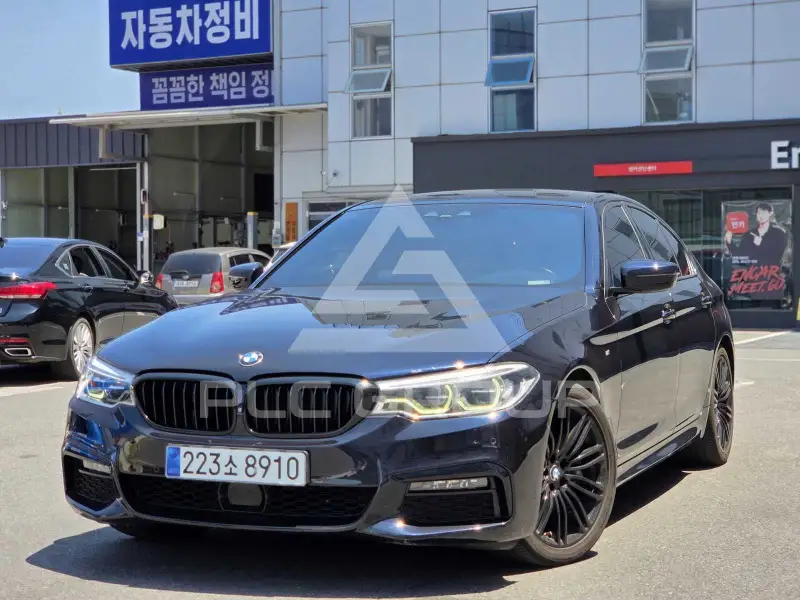 2019 BMW 530M