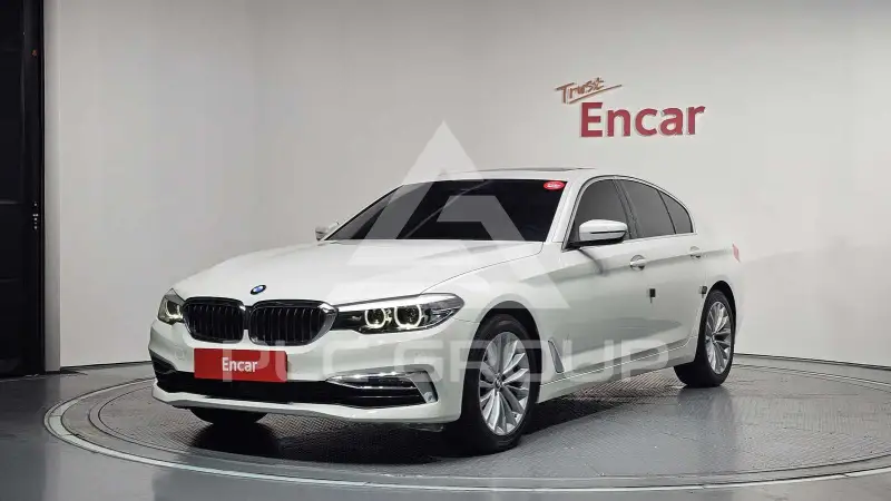 2019 BMW 520