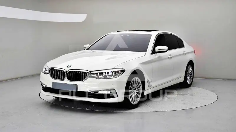 2019 BMW 520