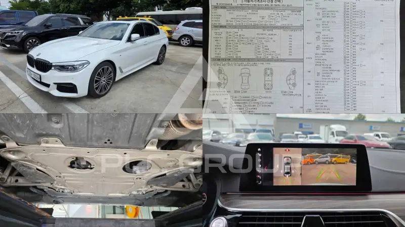 2019 BMW 530M