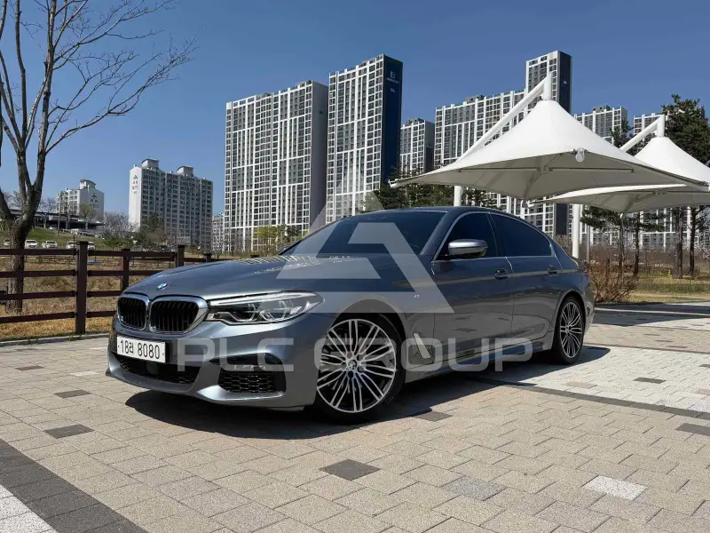2019 BMW 530M