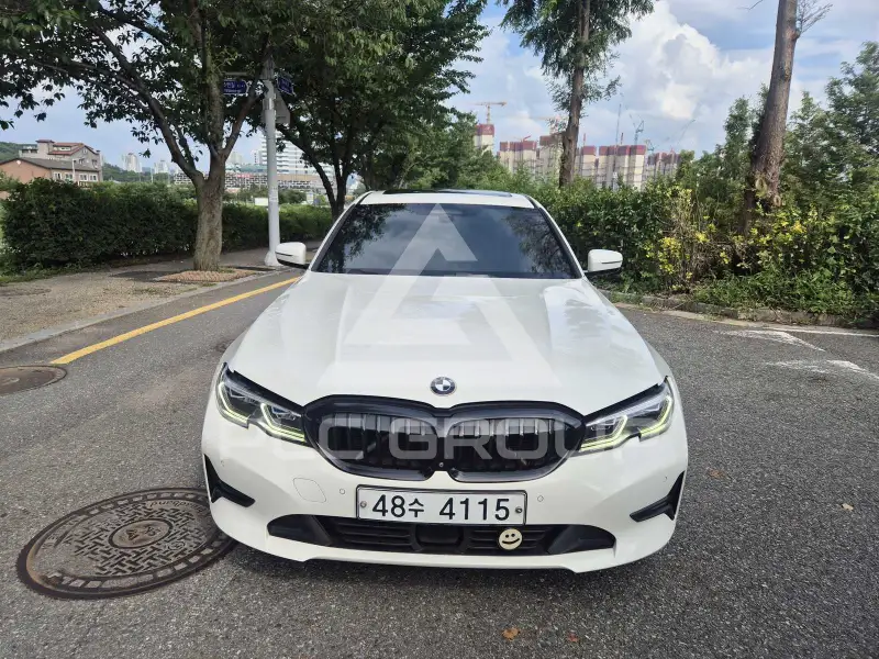2019 BMW 320