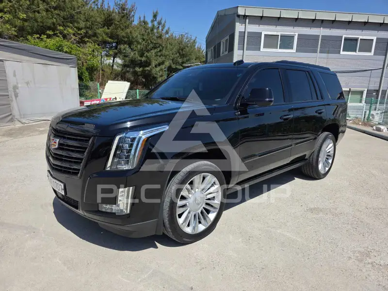 2019 Cadillac Escalade