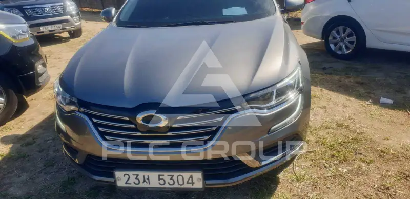 2019 Renault Sm6