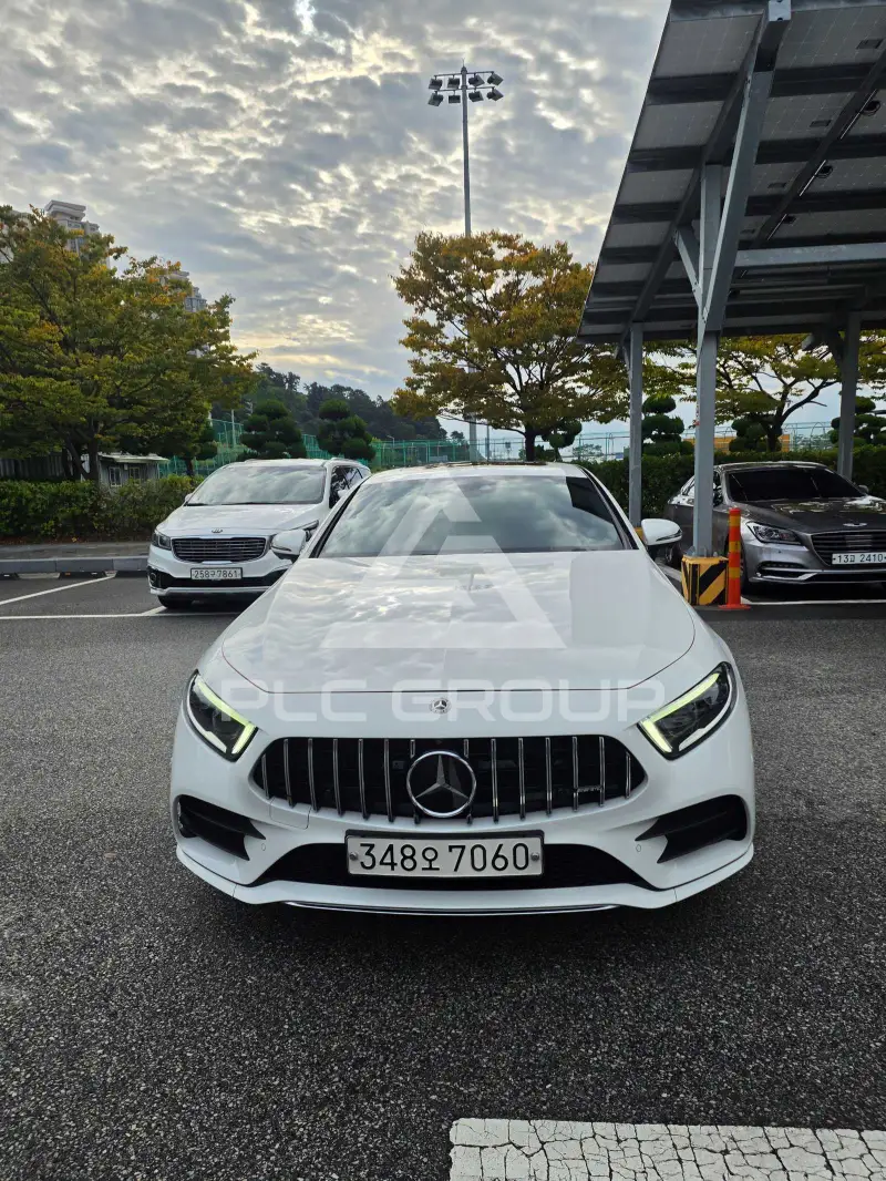 2019 Mercedes Benz CLS-Class